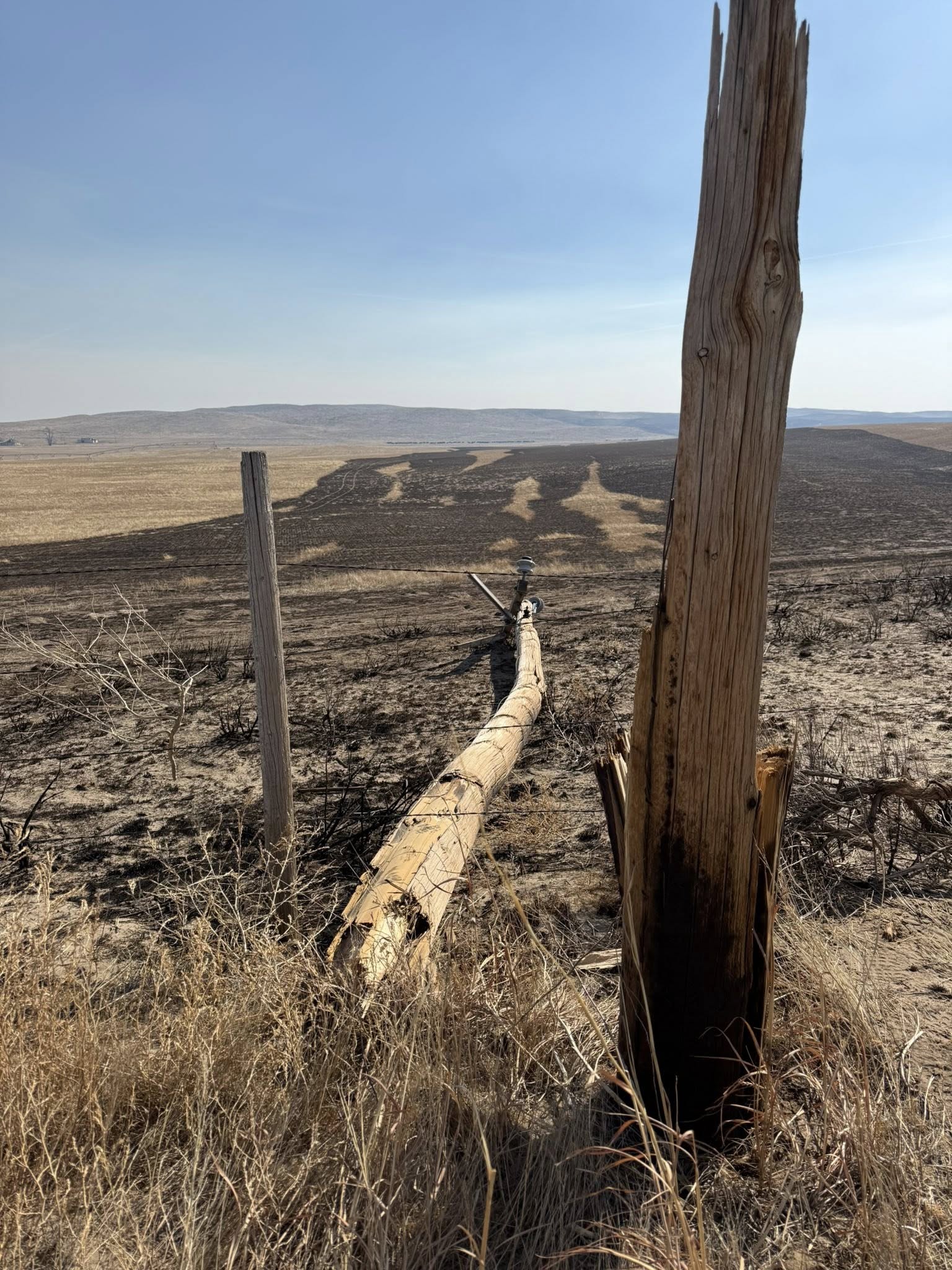 The power pole snapped by 70 mph wind gusts north of Bridgeport. The burned ground in the background shows how quickly the fire swept through.